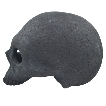 Baak Skull