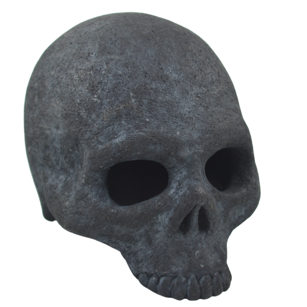 Baak Skull