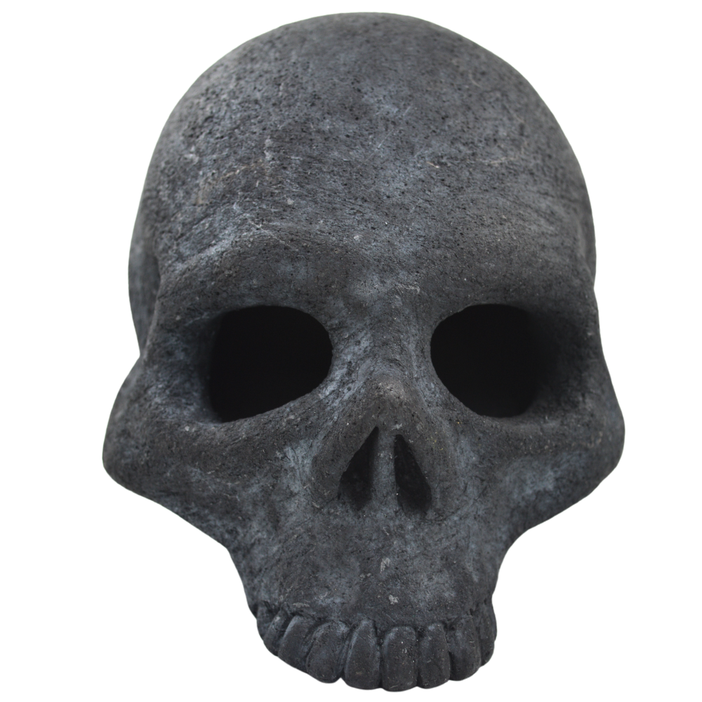 Baak Skull