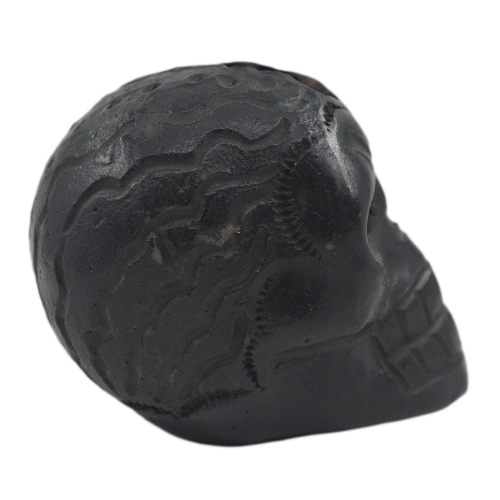 Craneo Yayahuic| Barro Negro