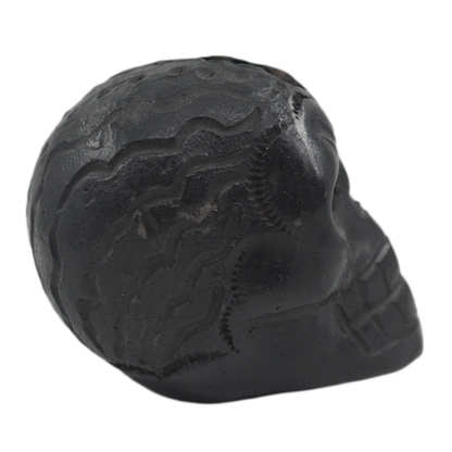Craneo Yayahuic| Barro Negro