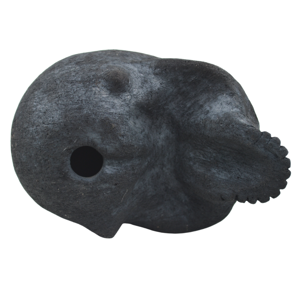 Baak Skull