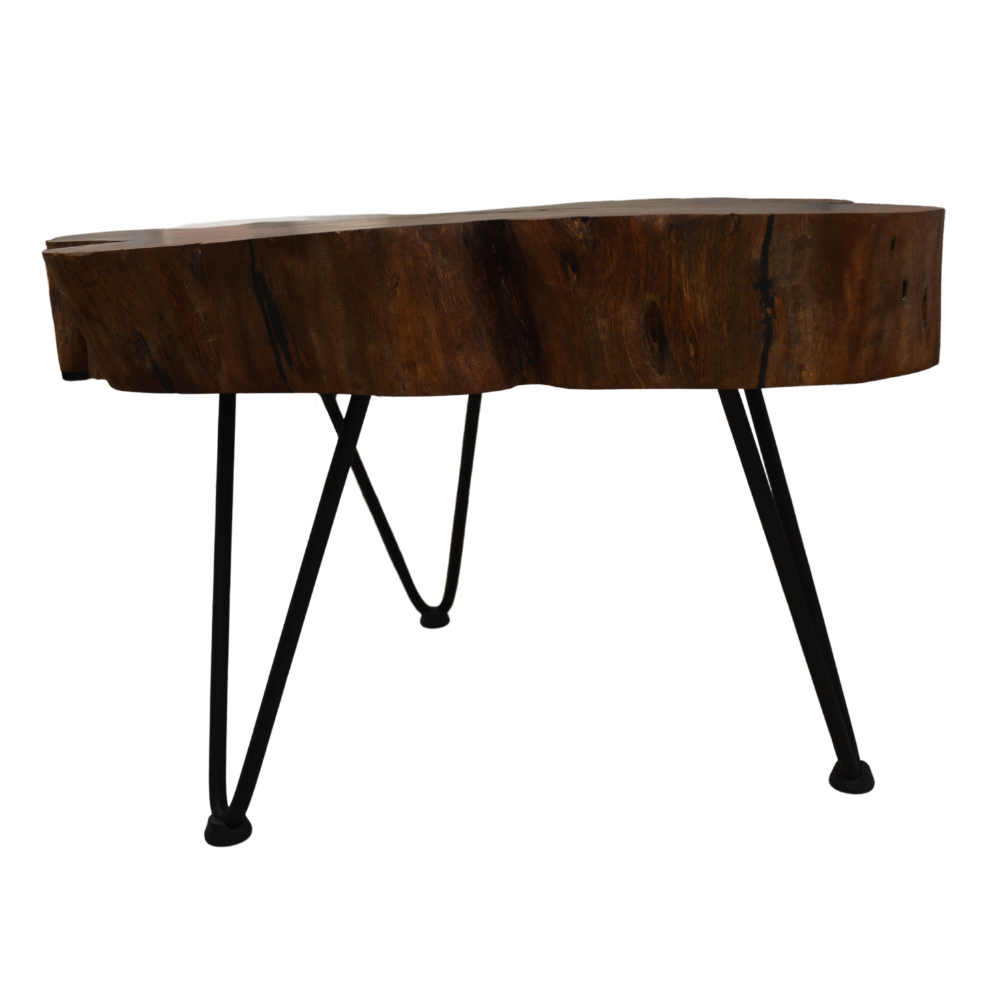 Mazunte Coffee Table