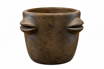 Tequileros 'Carita' | Reducción de Oxígeno