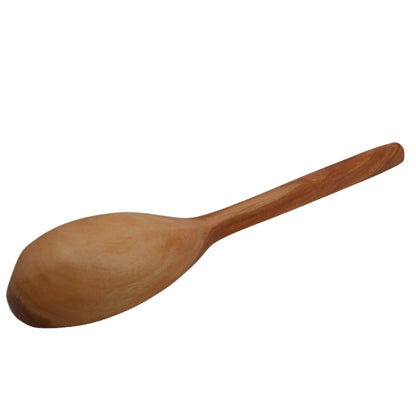 Multipurpose Spoon 10