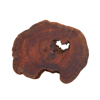 Mazunte Coffee Table